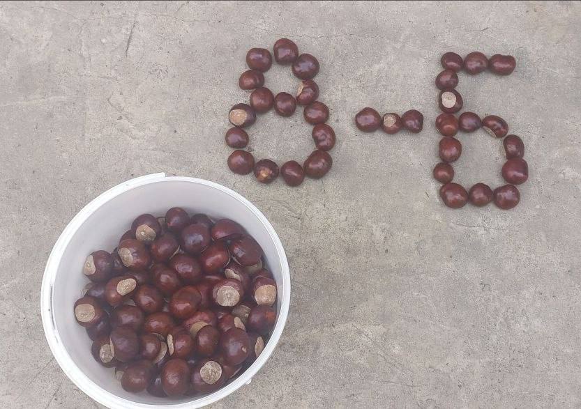 Учащиеся школы №25 внесли вклад в восстановление лесов родного края Учащиеся школы №25 внесли вклад в восстановление лесов родного края