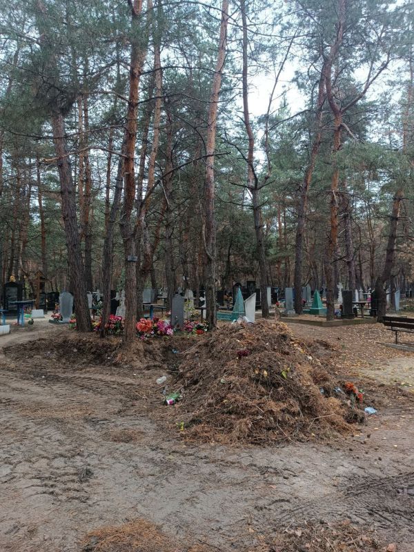Владимир Чернев: В рамках подписанного мной постановления о благоустройстве территорий кладбищ учреждения приступили к масштабным мероприятиям по приведению их в нормативное состояние Владимир Чернев: В рамках подписанного мной постановления о благоустройстве территорий кладбищ учреждения приступили к масштабным мероприятиям по приведению их в нормативное состояние