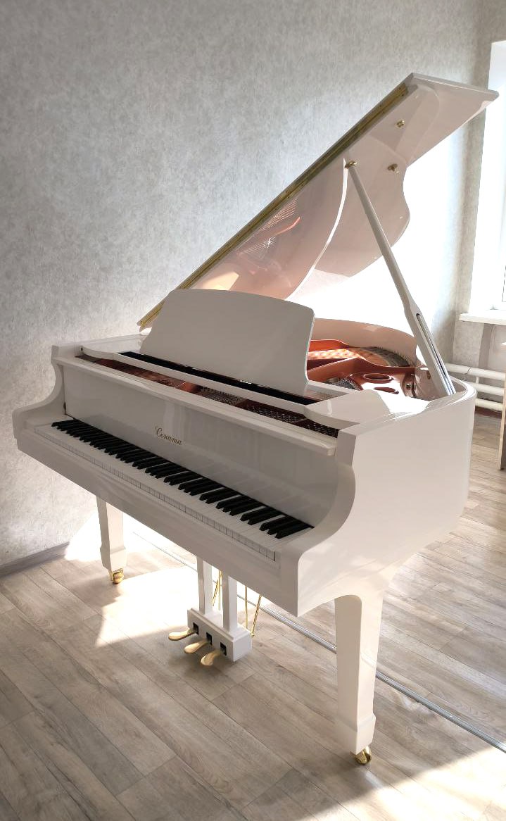 В Новосветловской детской школе искусств появились четыре новых концертных пианино и белый рояль отечественной марки «Соната» В Новосветловской детской школе искусств появились четыре новых концертных пианино и белый рояль отечественной марки «Соната»