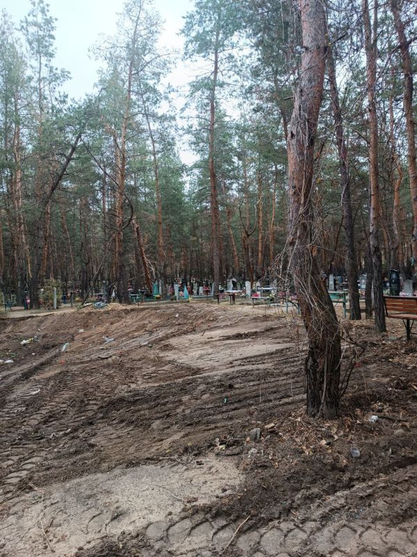 Владимир Чернев: В рамках подписанного мной постановления о благоустройстве территорий кладбищ учреждения приступили к масштабным мероприятиям по приведению их в нормативное состояние Владимир Чернев: В рамках подписанного мной постановления о благоустройстве территорий кладбищ учреждения приступили к масштабным мероприятиям по приведению их в нормативное состояние