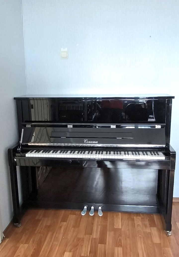 В Новосветловской детской школе искусств появились четыре новых концертных пианино и белый рояль отечественной марки «Соната» В Новосветловской детской школе искусств появились четыре новых концертных пианино и белый рояль отечественной марки «Соната»