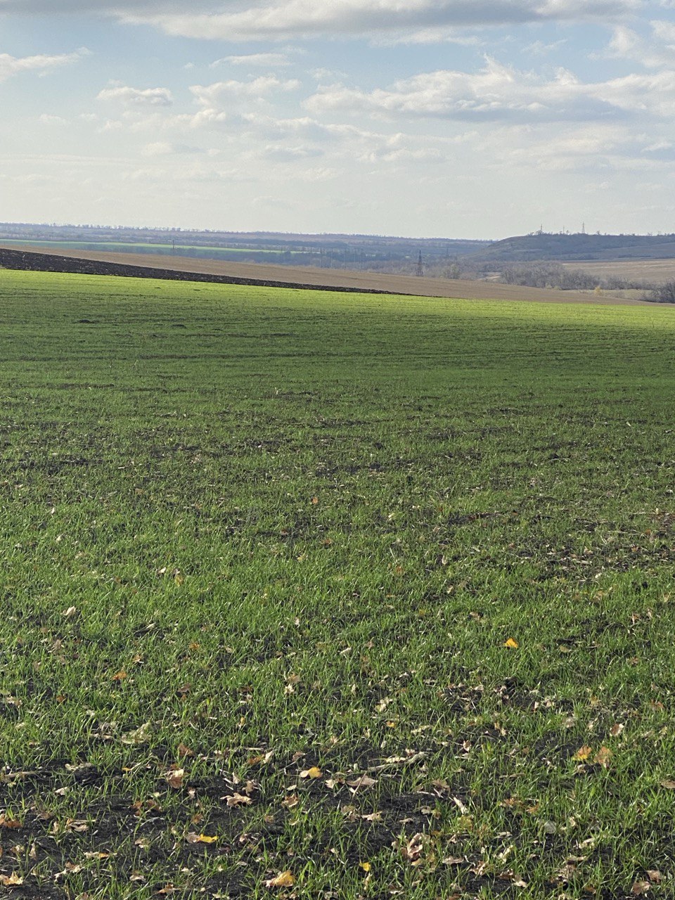 Стартовала посевная кампания озимых зерновых под урожай 2026 года Стартовала посевная кампания озимых зерновых под урожай 2026 года