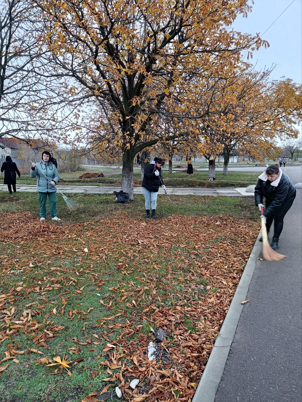 В преддверии Дня народного единства, 31 октября и 1 ноября, на территории Краснодонского муниципального округа пройдет общемуниципальный субботник В преддверии Дня народного единства, 31 октября и 1 ноября, на территории Краснодонского муниципального округа пройдет общемуниципальный субботник