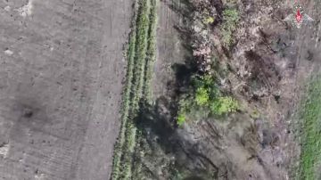 Точные удары дроноводов срывают планы противника