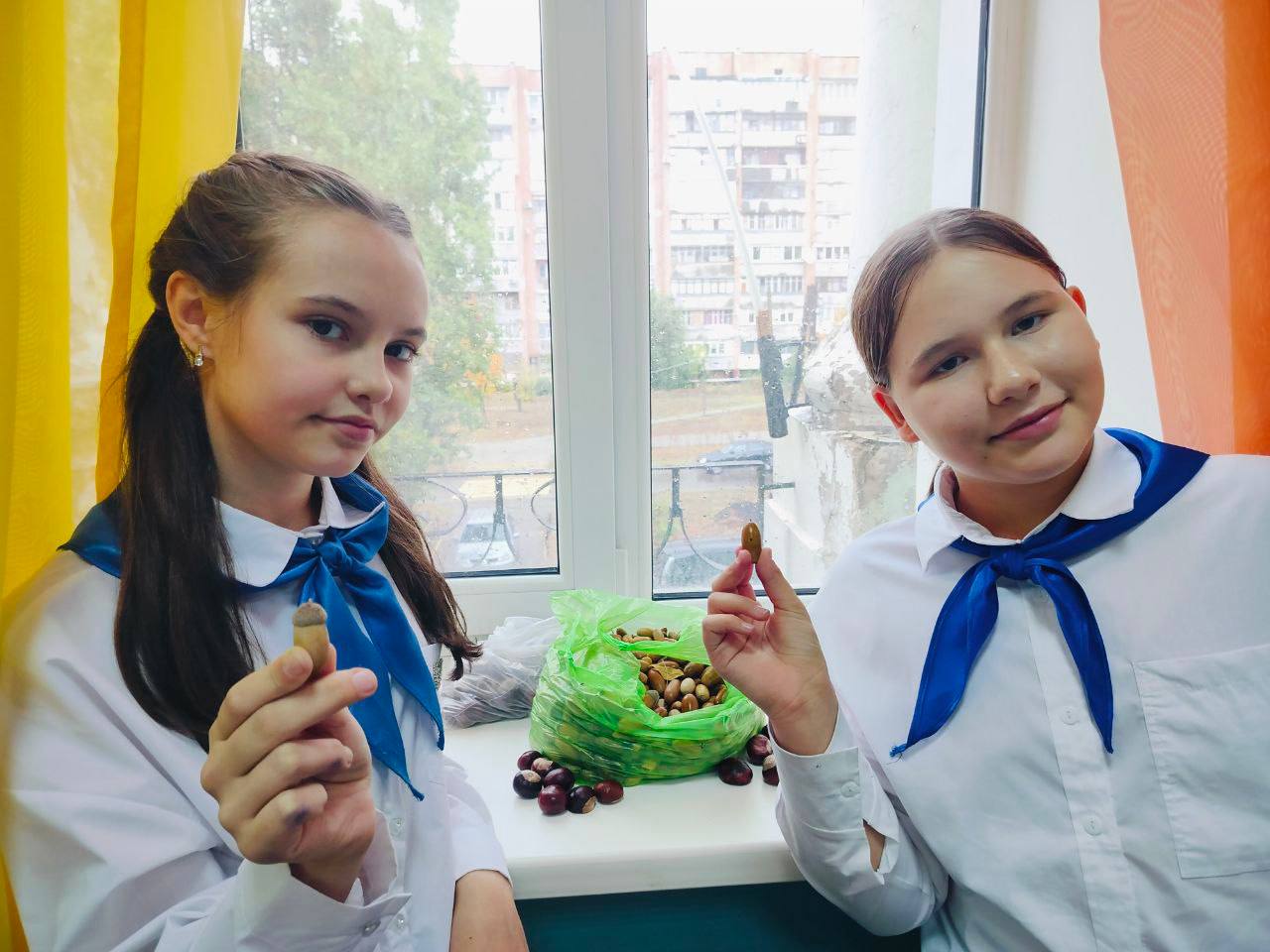 Учащиеся школы №25 внесли вклад в восстановление лесов родного края Учащиеся школы №25 внесли вклад в восстановление лесов родного края