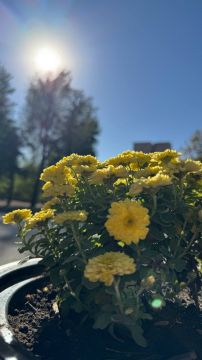 Синоптики прогнозируют 1 ноября в ЛНР от 4 градусов выше нуля ночью до 13 градусов тепла днем, местами ожидается кратковременный дождь и туман