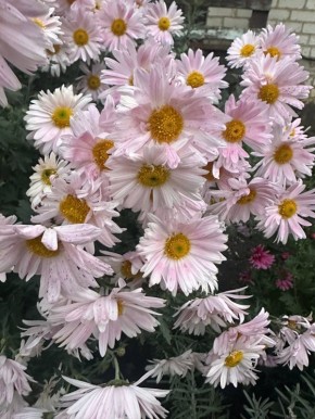 С добрым утром, жители Марковского муниципального округа!