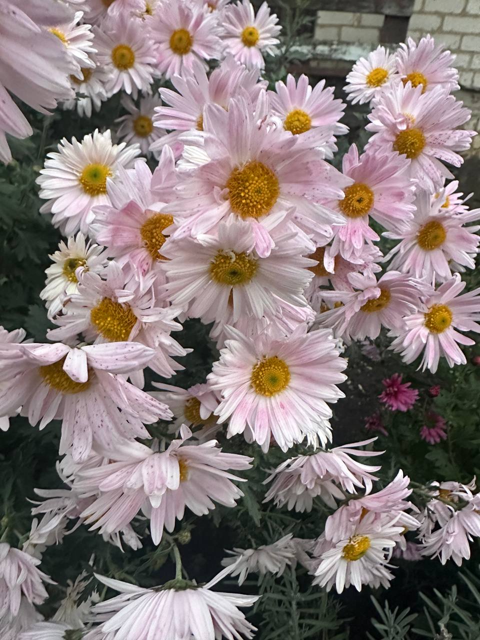 С добрым утром, жители Марковского муниципального округа!