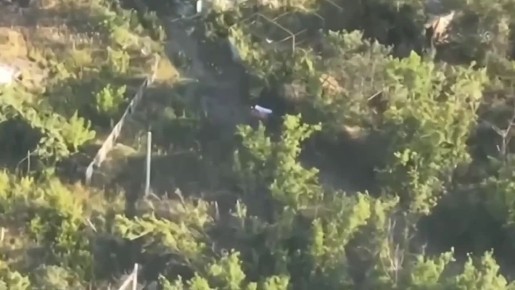 Подвигу 98-й Ивановской дивизии ВДВ, освободившей Часов Яр, посвятили клип