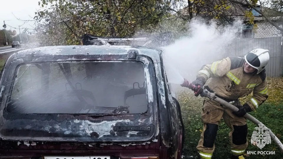 Семь пожаров потушили в ЛНР за сутки