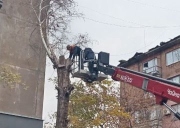 Коммунальные службы проводят работы на территории города