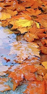 Доброе утро! Пятница, 31 октября