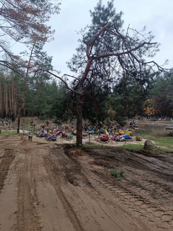 В рамках подписанного постановления о благоустройстве территорий кладбищ учреждения приступили к масштабным мероприятиям по приведению их в нормативное состояние В рамках подписанного постановления о благоустройстве территорий кладбищ учреждения приступили к масштабным мероприятиям по приведению их в нормативное состояние