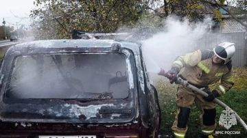 Семь пожаров потушили в ЛНР за сутки