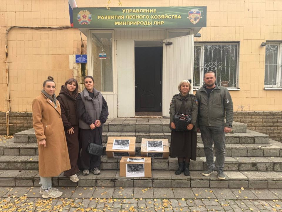 Учащиеся школы №25 внесли вклад в восстановление лесов родного края Учащиеся школы №25 внесли вклад в восстановление лесов родного края