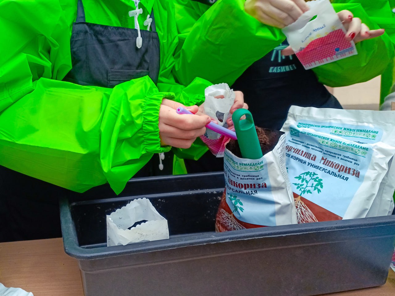 Клуб юных натуралистов Республиканского центра «Возрождение» ко Дню народного единства передал 140 саженцев деревьев в образовательные учреждения Луганска Клуб юных натуралистов Республиканского центра «Возрождение» ко Дню народного единства передал 140 саженцев деревьев в образовательные учреждения Луганска