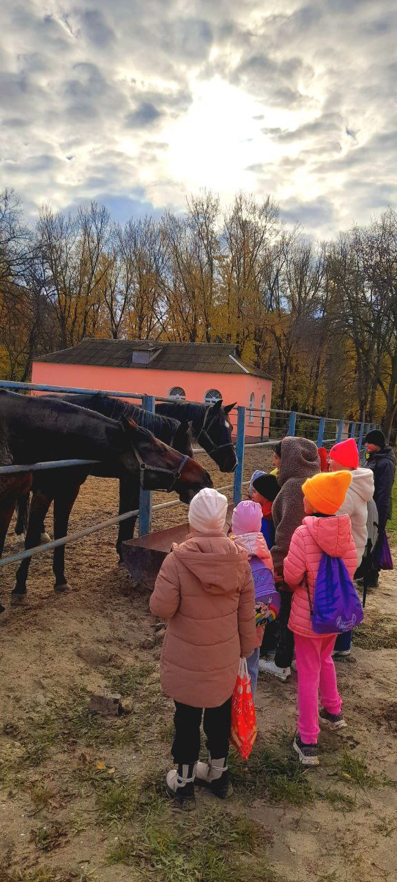 Воспитанники ГБУ ДО ЛНР "Беловодский районный центр детского и юношеского творчества" посетители Деркульский конный завод 63. Ребята познакомились с подопечными завода - они увидели красивых породистых лошадей и смогли... Воспитанники ГБУ ДО ЛНР "Беловодский районный центр детского и юношеского творчества" посетители Деркульский конный завод 63. Ребята познакомились с подопечными завода - они увидели красивых породистых лошадей и смогли...