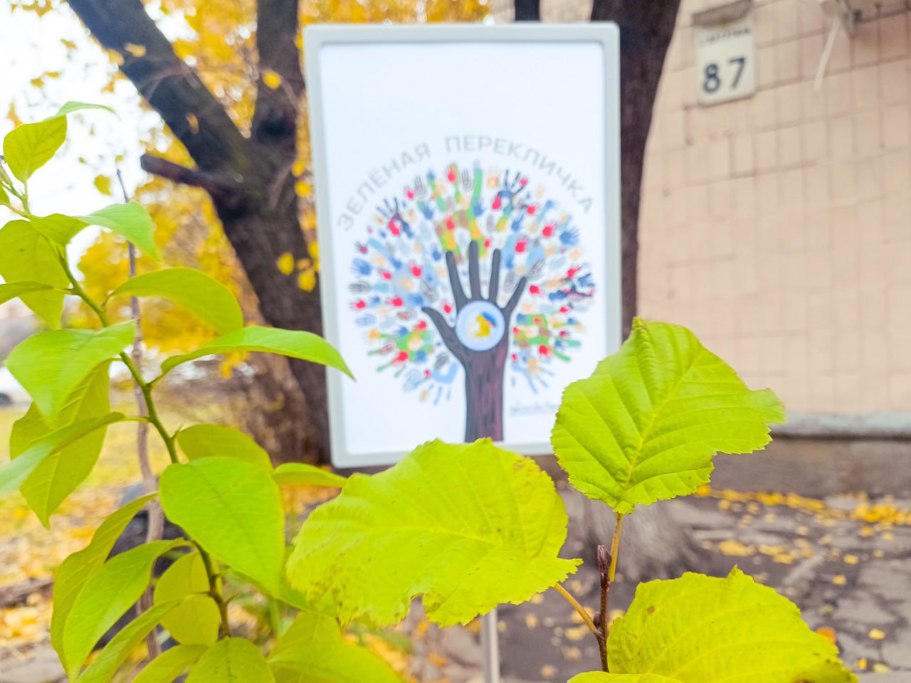 Клуб юных натуралистов Республиканского центра «Возрождение» ко Дню народного единства передал 140 саженцев деревьев в образовательные учреждения Луганска Клуб юных натуралистов Республиканского центра «Возрождение» ко Дню народного единства передал 140 саженцев деревьев в образовательные учреждения Луганска