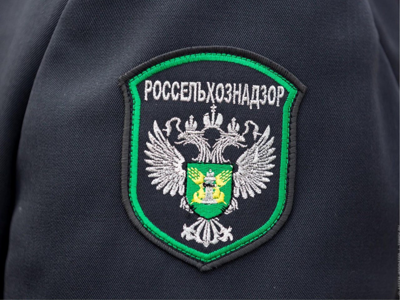 Специалисты Управления Россельхознадзора по ДНР и ЛНР провели порядка 2 тысяч консультаций для сельхозпроизводителей Луганской Народной Республики