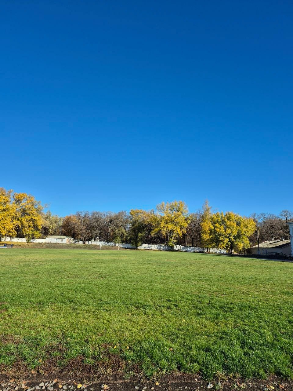 Идеальный газон стадиона "Авангард": результат профессионализма и заботы!