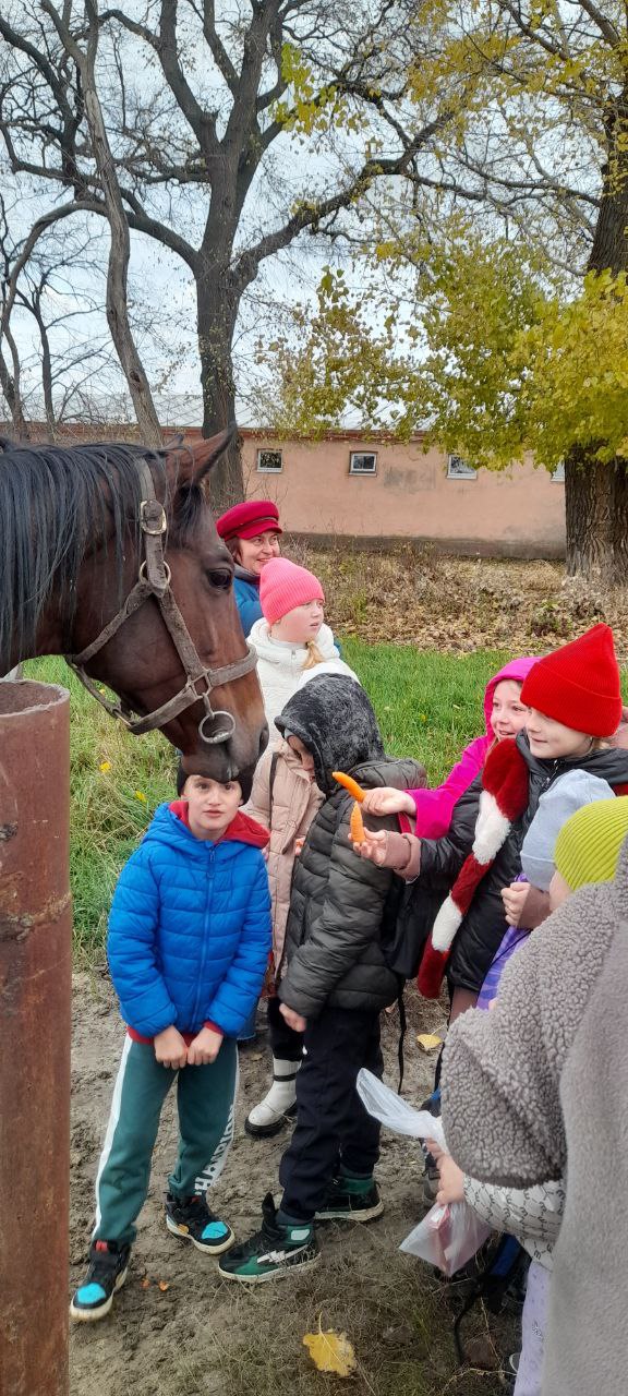 Воспитанники ГБУ ДО ЛНР "Беловодский районный центр детского и юношеского творчества" посетители Деркульский конный завод 63. Ребята познакомились с подопечными завода - они увидели красивых породистых лошадей и смогли... Воспитанники ГБУ ДО ЛНР "Беловодский районный центр детского и юношеского творчества" посетители Деркульский конный завод 63. Ребята познакомились с подопечными завода - они увидели красивых породистых лошадей и смогли...