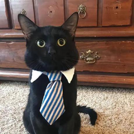 В Луганске в районе Южных кварталов строится ЖК «Возрождение» В Луганске в районе Южных кварталов строится ЖК «Возрождение»