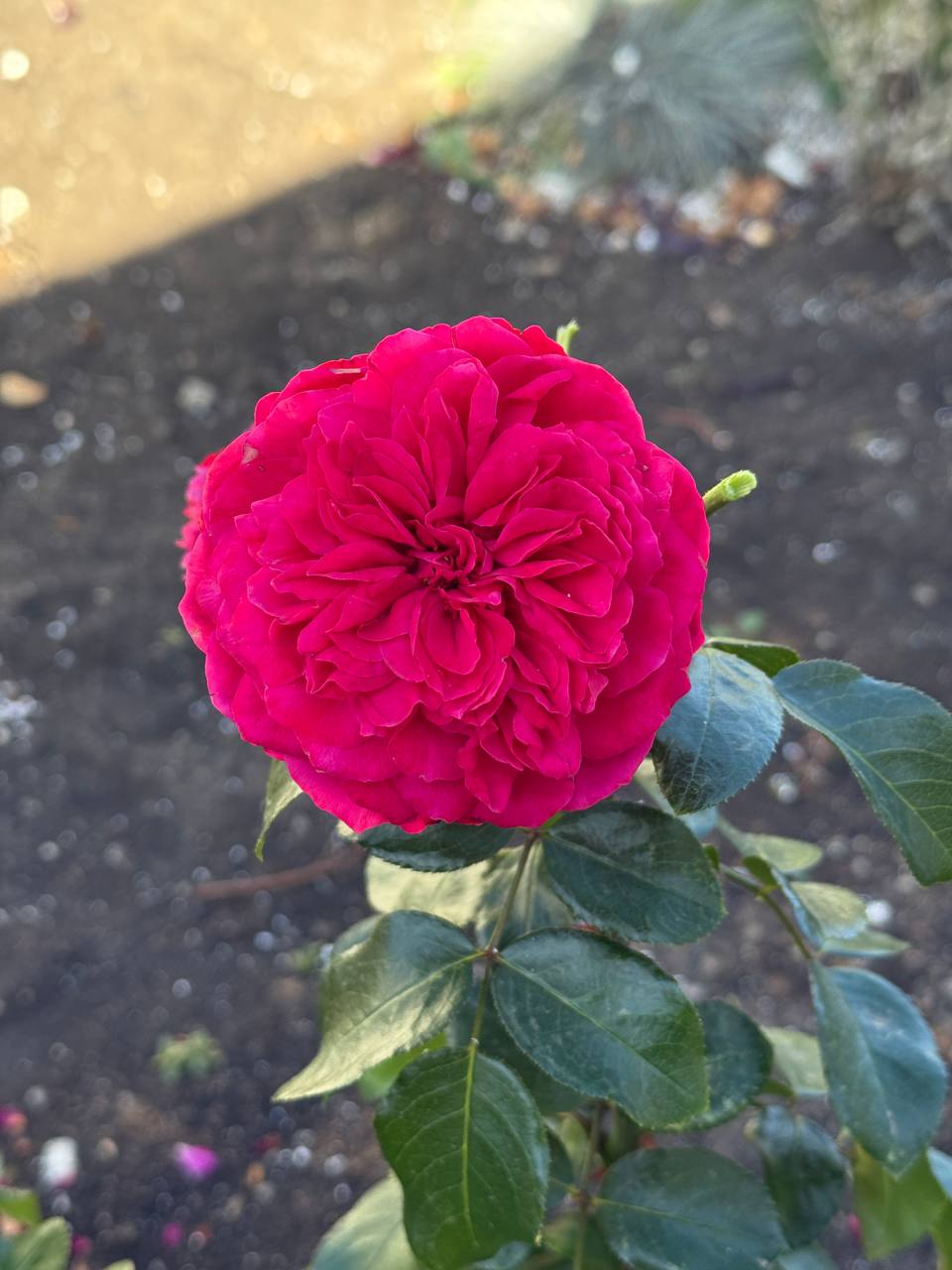 С добрым утром, жители Марковского муниципального округа!