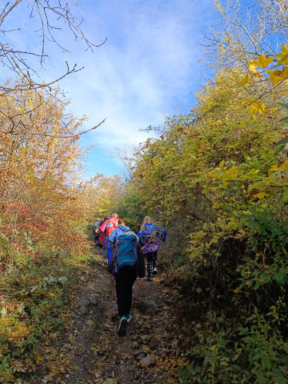 Владимир Чернев: В период осенних каникул воспитанники кружка "Спортивный туризм" ГБУДО ЛНР "Старобельский дом творчества детей и юношества" совершили пешеходный туристический поход по Крыму! Владимир Чернев: В период осенних каникул воспитанники кружка "Спортивный туризм" ГБУДО ЛНР "Старобельский дом творчества детей и юношества" совершили пешеходный туристический поход по Крыму!