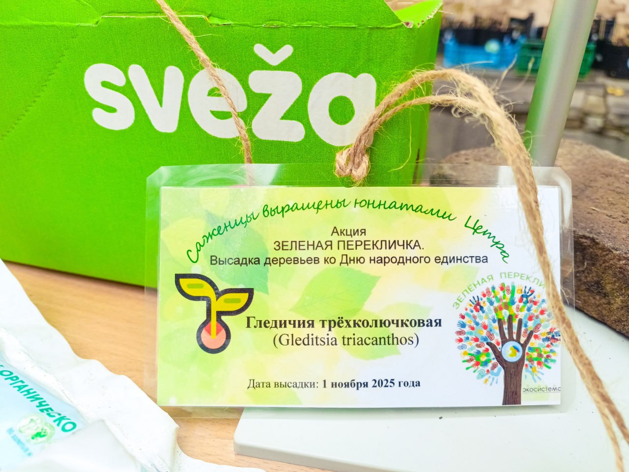 Клуб юных натуралистов Республиканского центра «Возрождение» ко Дню народного единства передал 140 саженцев деревьев в образовательные учреждения Луганска Клуб юных натуралистов Республиканского центра «Возрождение» ко Дню народного единства передал 140 саженцев деревьев в образовательные учреждения Луганска