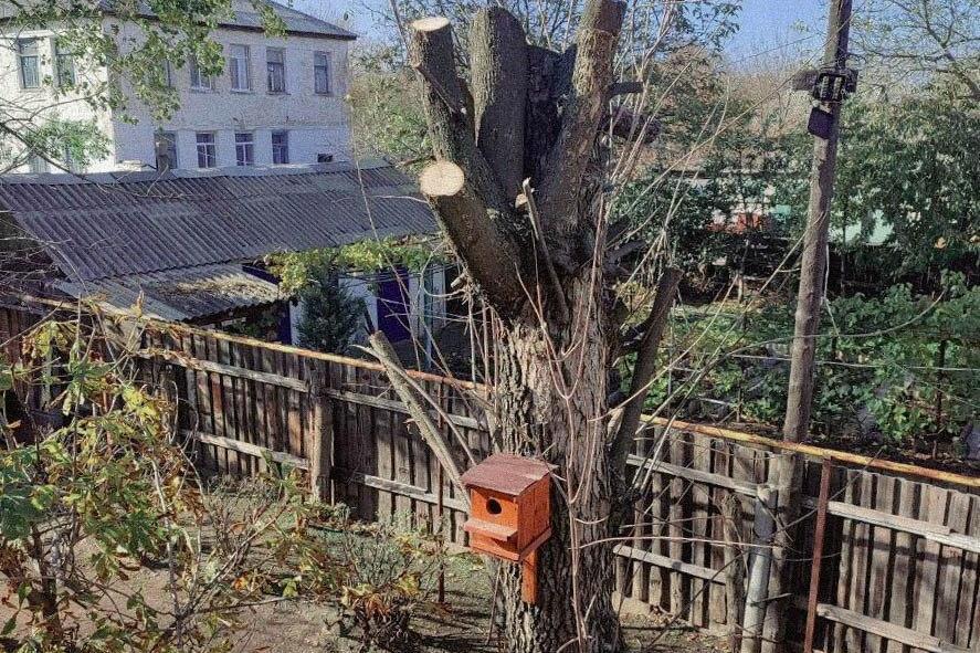 Бригада Республики Хакасия убирает аварийные деревья на территории Свердловского округа Бригада Республики Хакасия убирает аварийные деревья на территории Свердловского округа