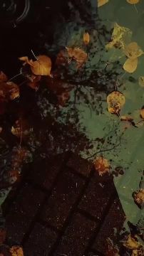 Доброй ночи, жители Новоайдарского округа! Мирных снов!