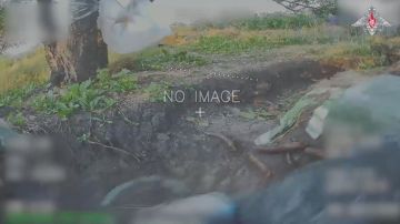 Работают профессионалы. 00:00 Расчет барражирующего боеприпаса «Ланцет» группировки войск «Север» сжег САУ «Богдана» противника, а операторы БПЛА – бронетранспортер М113 с живой силой в Сумской области