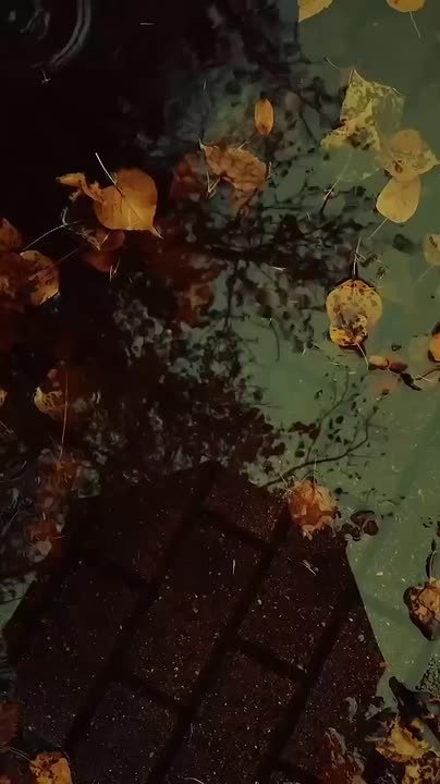 Доброй ночи, жители Новоайдарского округа! Мирных снов!