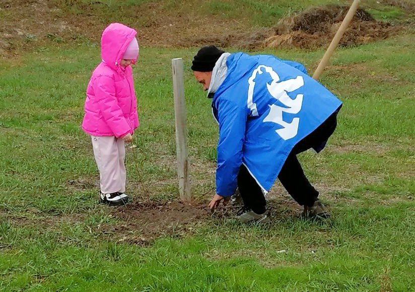 «Аллея Единства» в селе Литвиновка «Аллея Единства» в селе Литвиновка