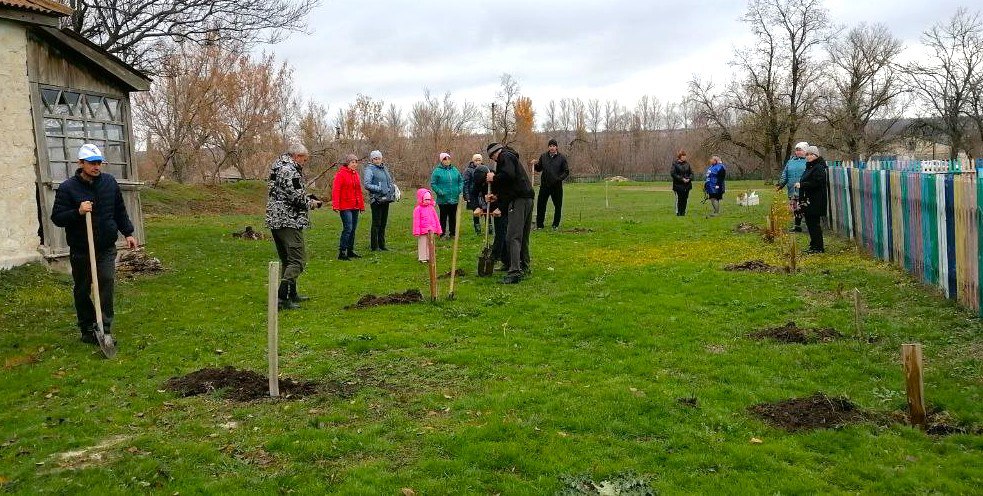 «Аллея Единства» в селе Литвиновка «Аллея Единства» в селе Литвиновка