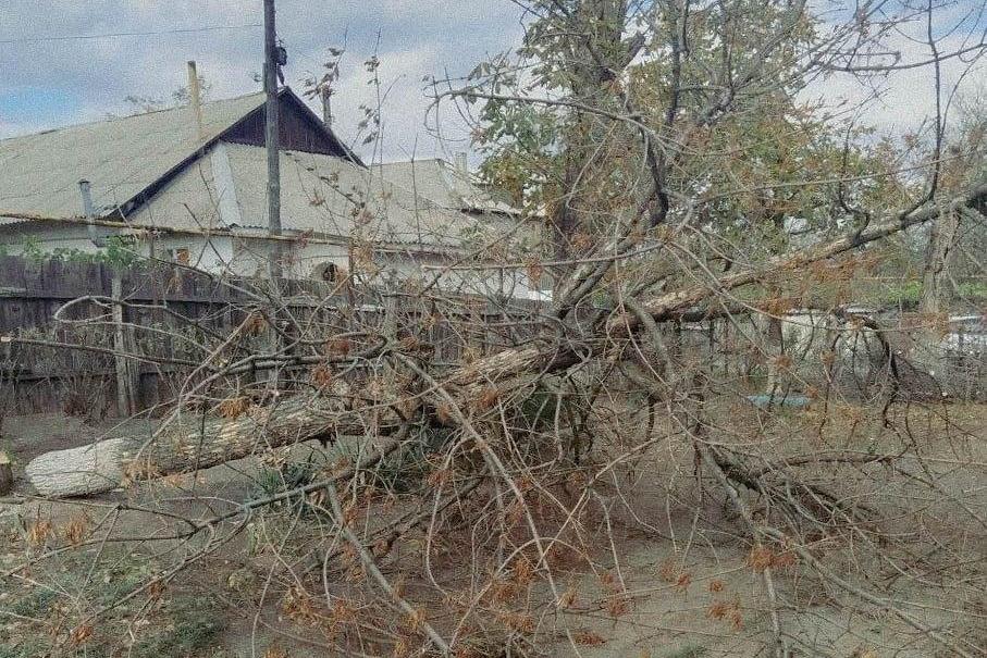 Бригада Республики Хакасия убирает аварийные деревья на территории Свердловского округа Бригада Республики Хакасия убирает аварийные деревья на территории Свердловского округа