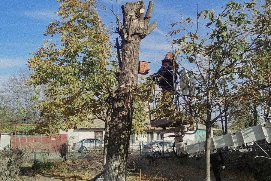 Бригада Республики Хакасия убирает аварийные деревья на территории Свердловского округа