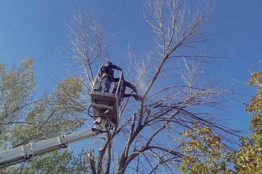 Бригада Республики Хакасия убирает аварийные деревья на территории Свердловского округа Бригада Республики Хакасия убирает аварийные деревья на территории Свердловского округа