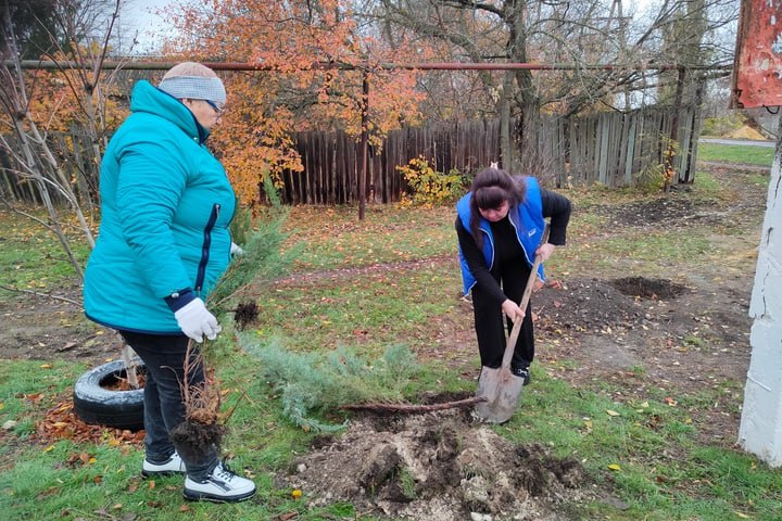 "Сила России в её многонациональном согласии": К празднику по всей ЛНР высадили «Аллеи единства» "Сила России в её многонациональном согласии": К празднику по всей ЛНР высадили «Аллеи единства»