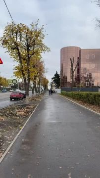 Стая бездомных собак, поселившаяся в луганском сквере имени Героев «Молодой гвардии», напала на маленькую девочку