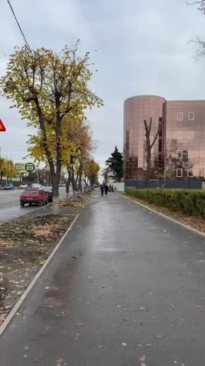 Стая бездомных собак, поселившаяся в луганском сквере имени Героев «Молодой гвардии», напала на маленькую девочку