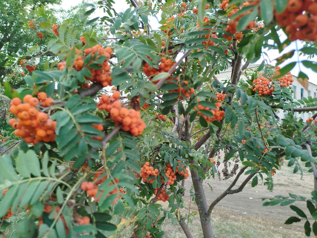 Доброе утро, станичане!. Рассказываем, какая погода ждёт нас в понедельник, 3 ноября Доброе утро, станичане!. Рассказываем, какая погода ждёт нас в понедельник, 3 ноября