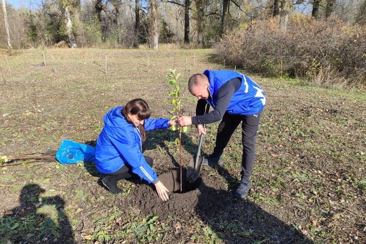 "Сила России в её многонациональном согласии": К празднику по всей ЛНР высадили «Аллеи единства» "Сила России в её многонациональном согласии": К празднику по всей ЛНР высадили «Аллеи единства»