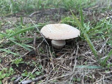 С добрым утром, жители Марковского муниципального округа!