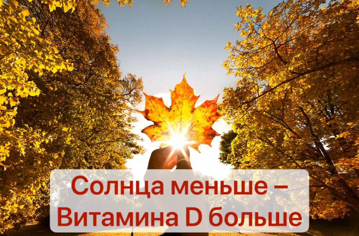 Как восполнить дефицит витамина D и поддержать настроение осенью