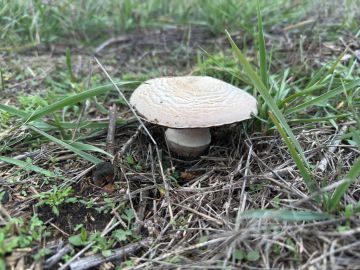 С добрым утром, жители Марковского муниципального округа!