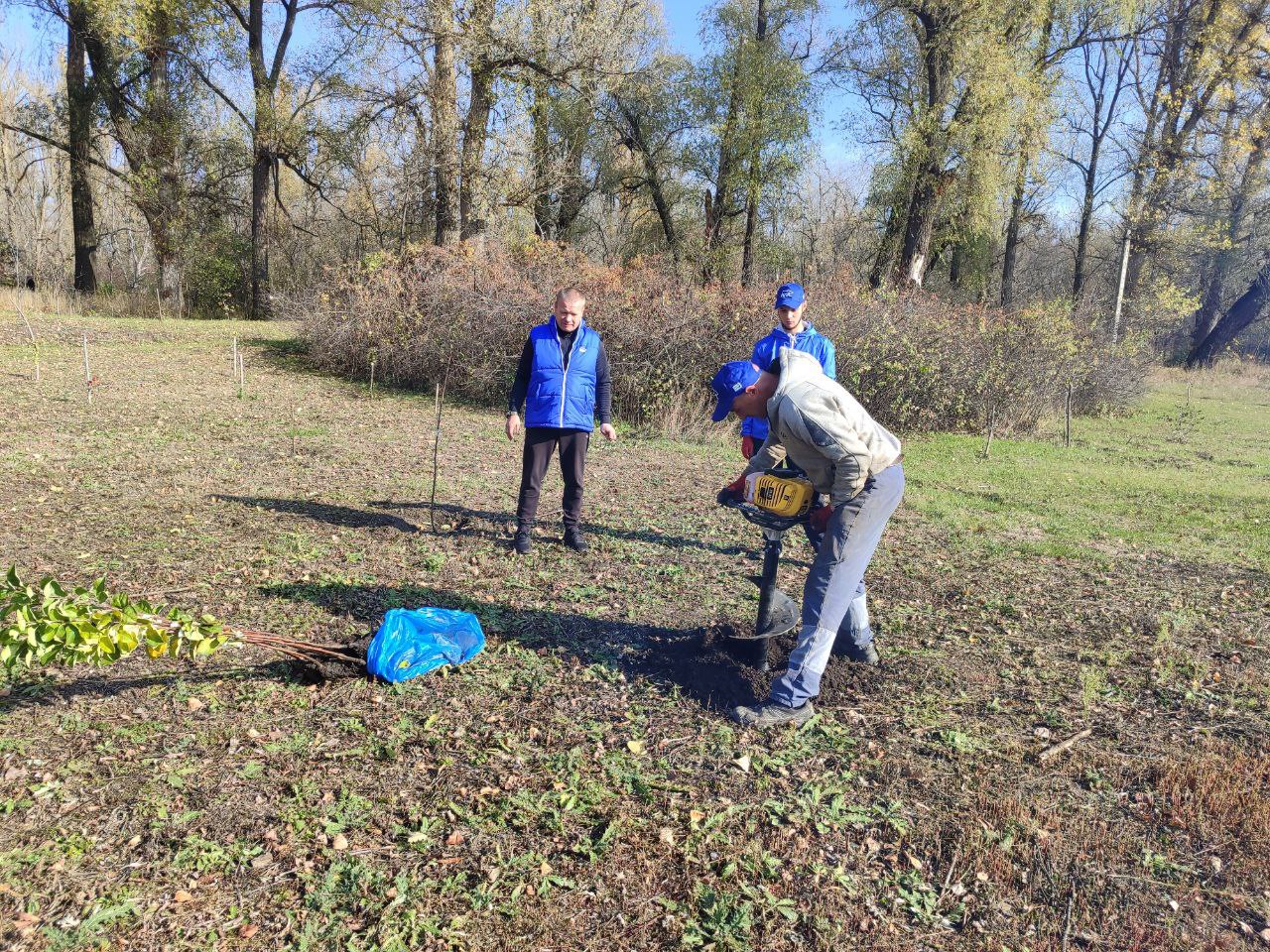 Единороссы высадили «Алею единства» Единороссы высадили «Алею единства»