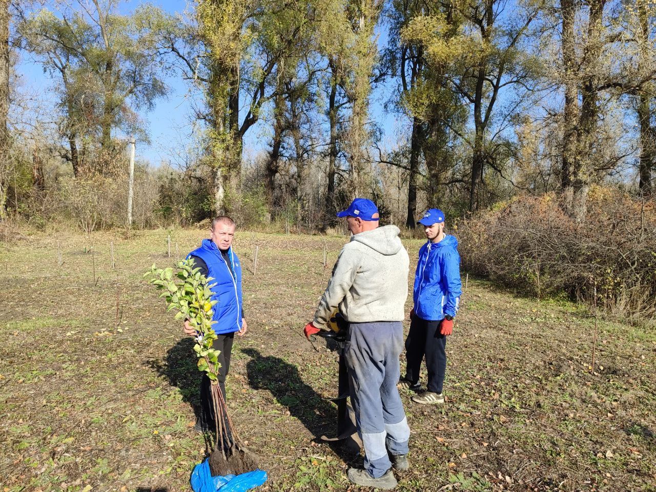 Единороссы высадили «Алею единства» Единороссы высадили «Алею единства»