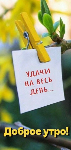 С ДОБРЫМ УТРОМ!. Сегодня 4 ноября, вторник! Немного о погоде: