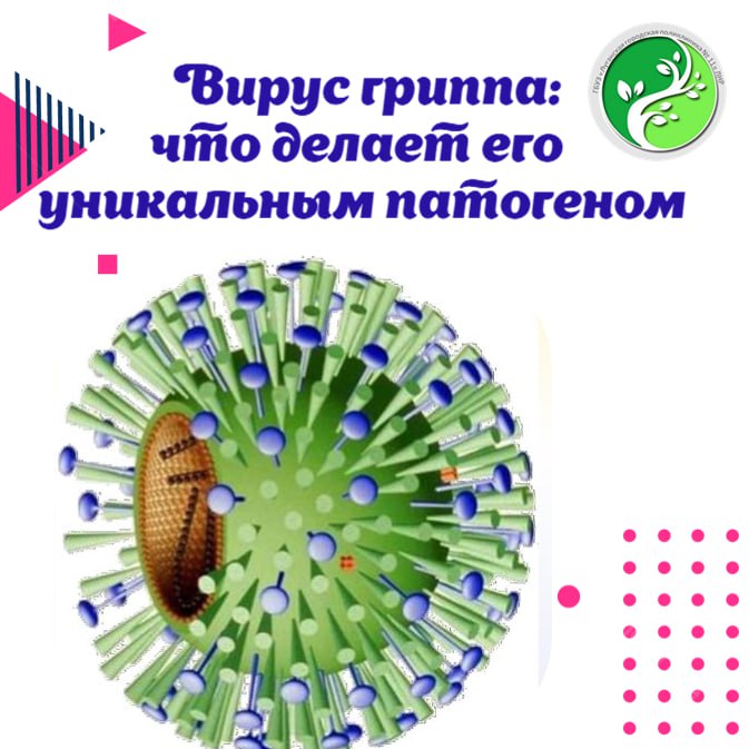 Грипп часто воспринимается как сезонная неприятность, однако с биологической точки зрения этот вирус представляет собой высокоорганизованную и эффективно функционирующую систему